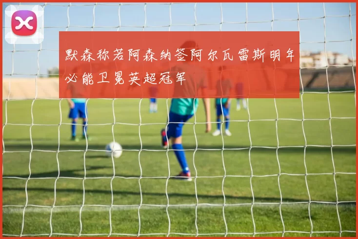 默森称若阿森纳签阿尔瓦雷斯明年必能卫冕英超冠军