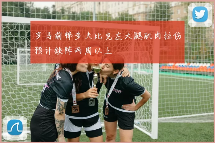 罗马前锋多夫比克左大腿肌肉拉伤预计缺阵两周以上