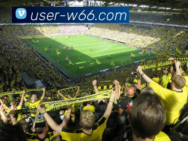 利来国际发展历程